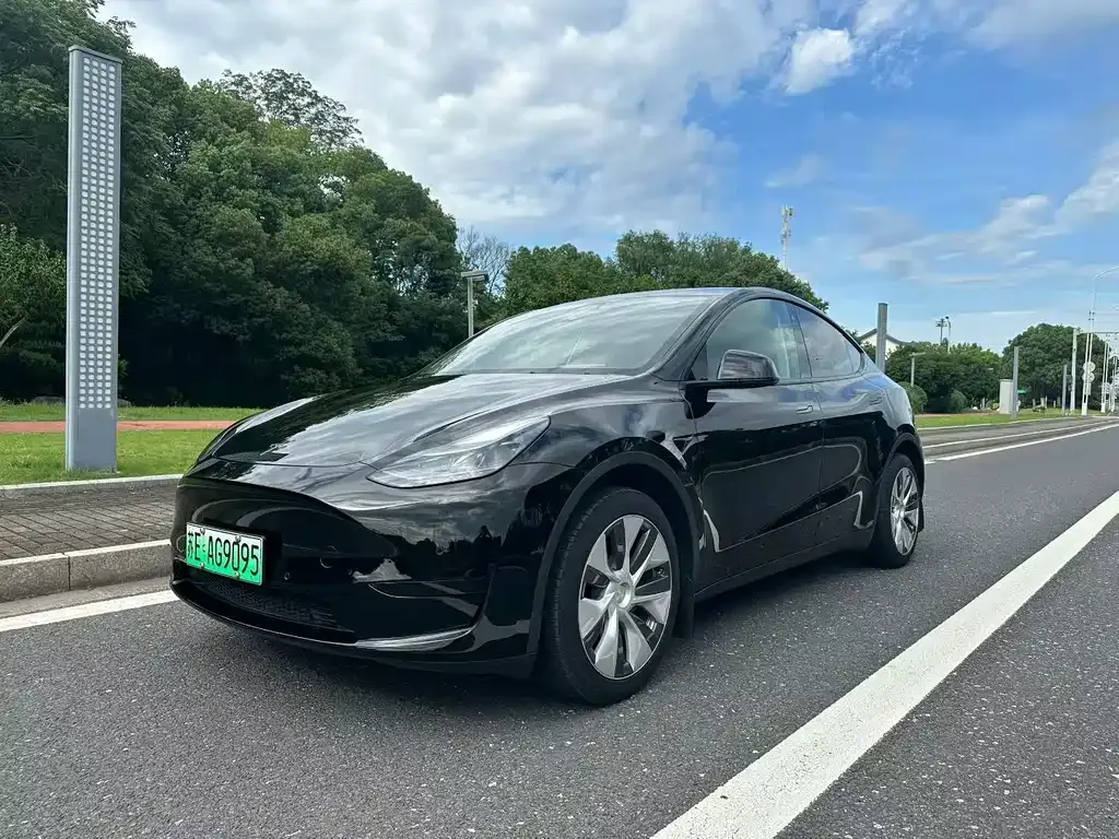 Tesla Model Y — фото 1