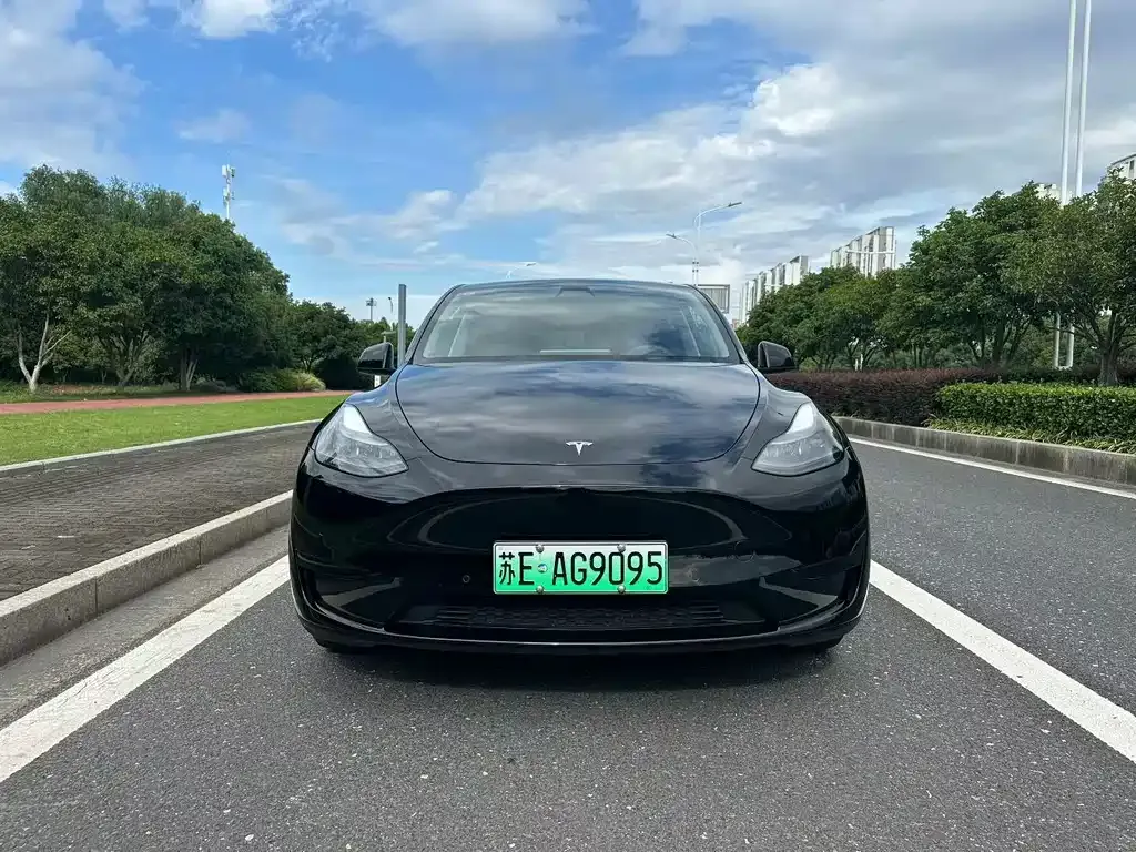 Tesla Model Y — фото 5