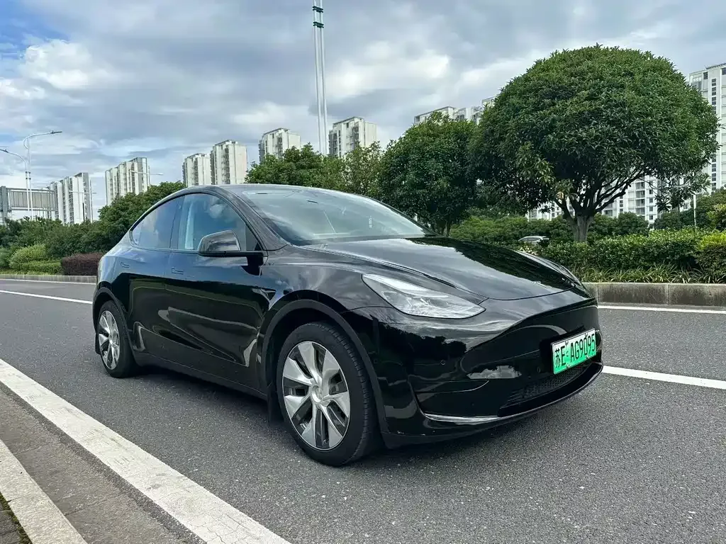 Tesla Model Y — фото 10