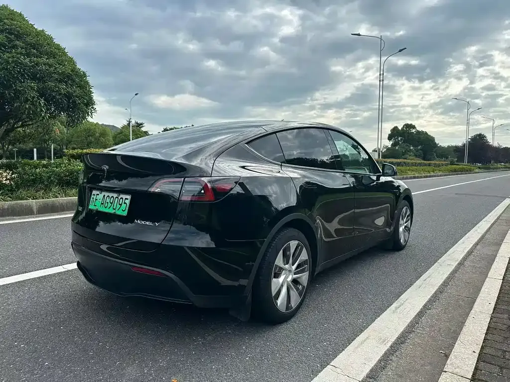 Tesla Model Y — фото 7
