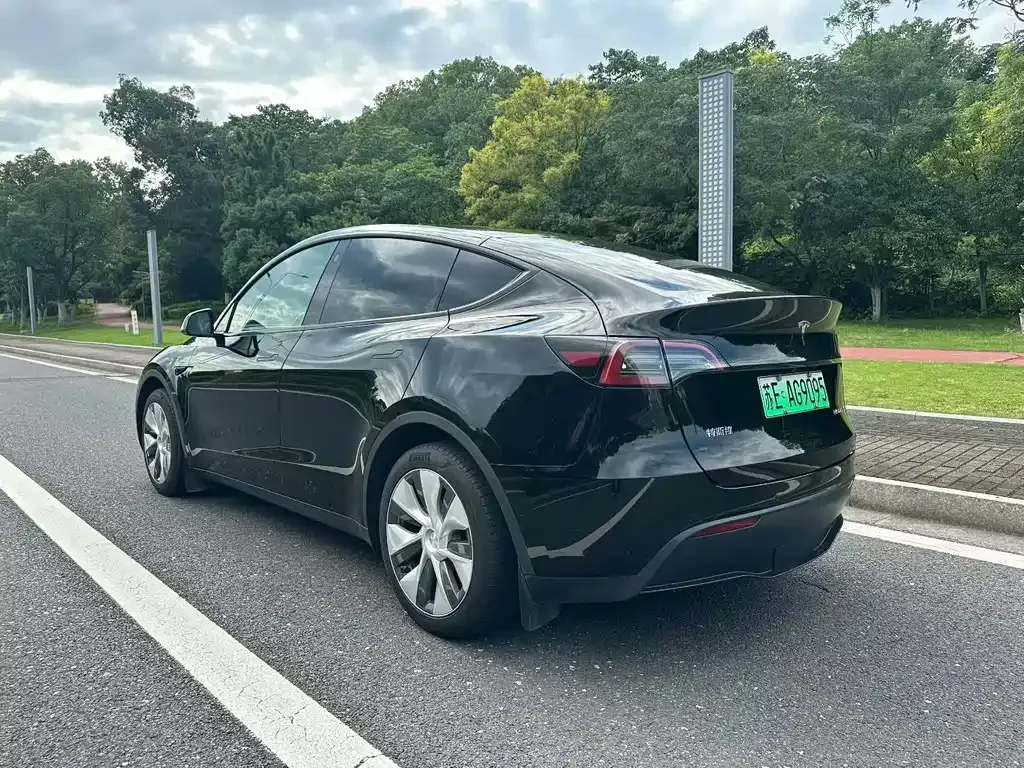 Tesla Model Y — фото 8