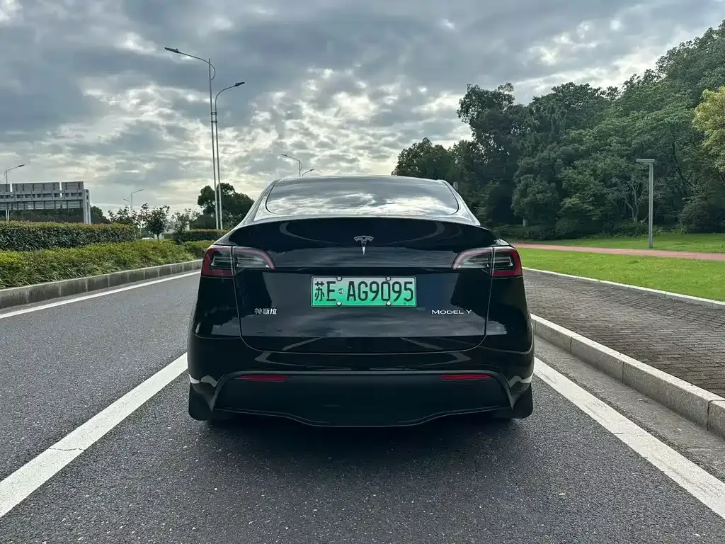 Tesla Model Y — фото 6