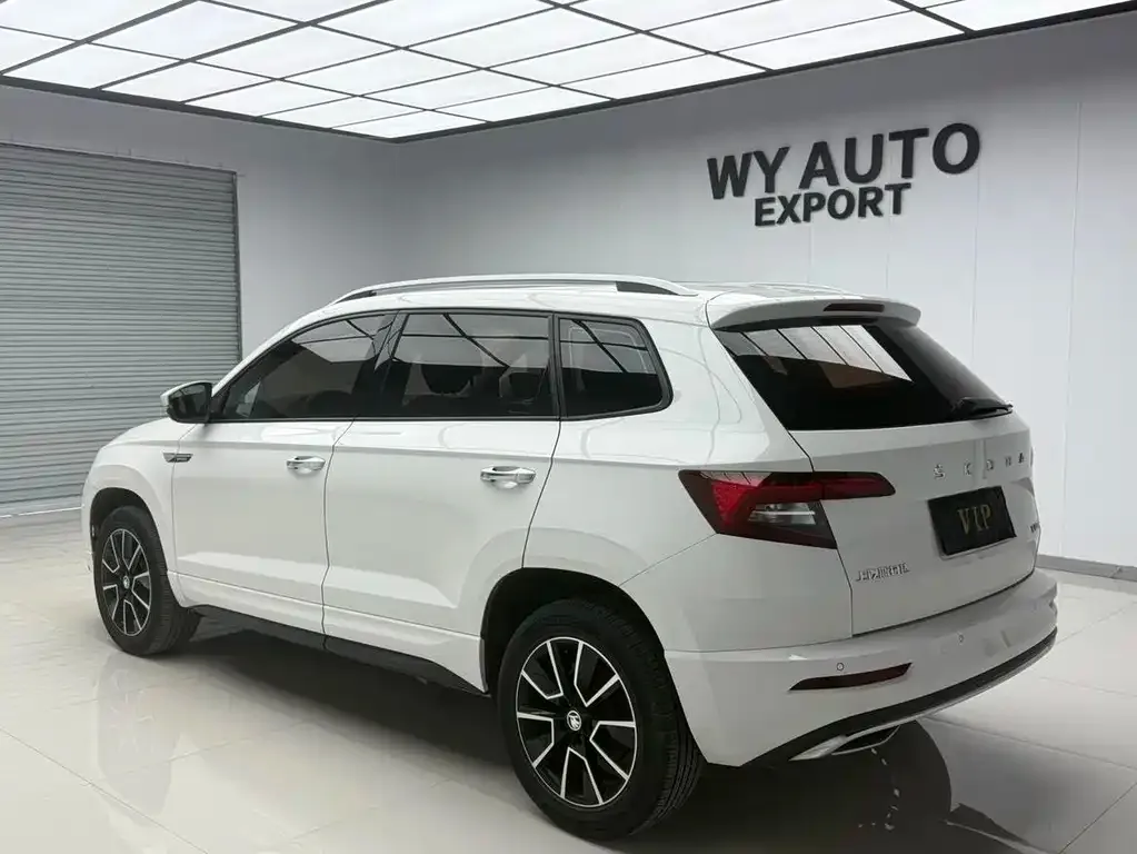 Skoda Karoq — фото 8