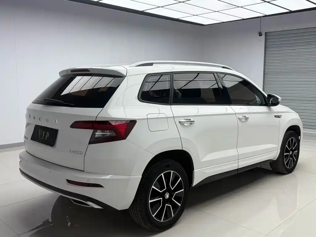 Skoda Karoq — фото 7