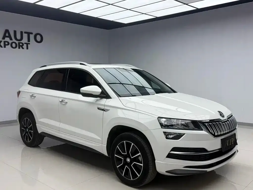 Skoda Karoq — фото 5