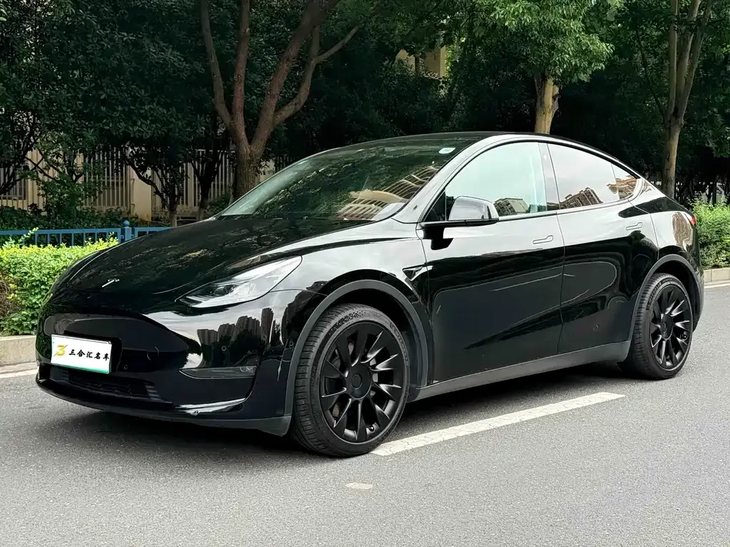Tesla Model Y — фото 1