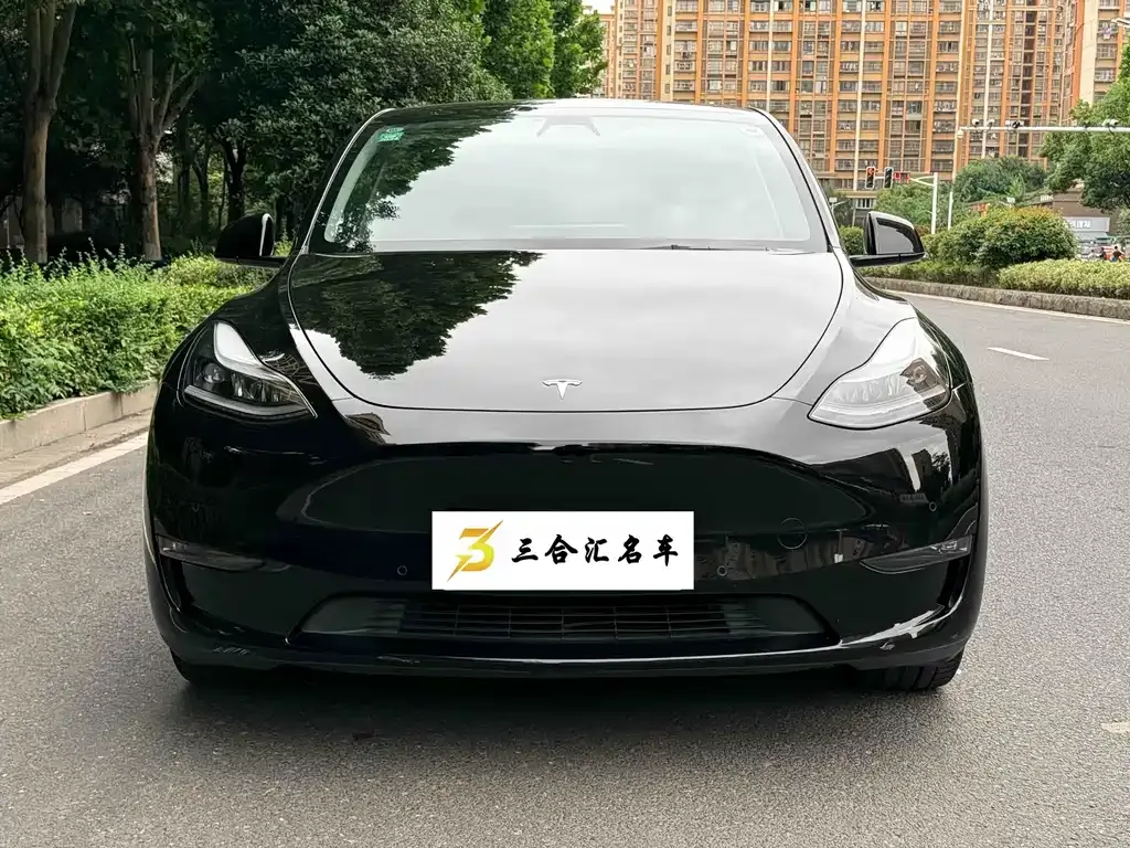 Tesla Model Y — фото 3
