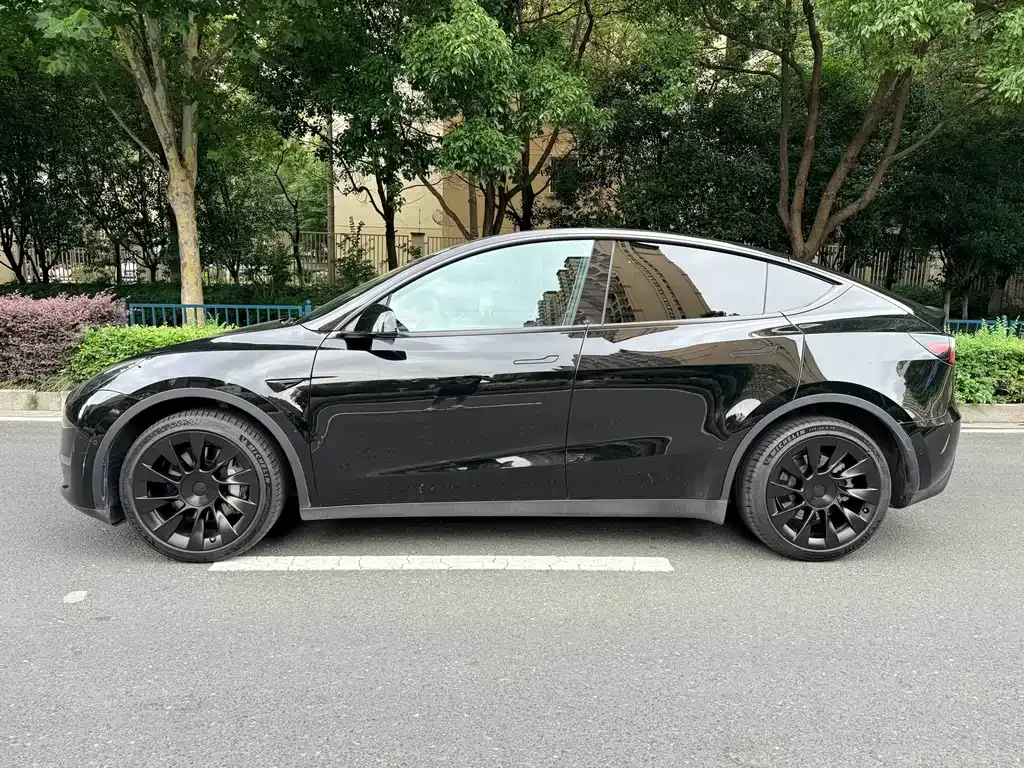 Tesla Model Y — фото 10