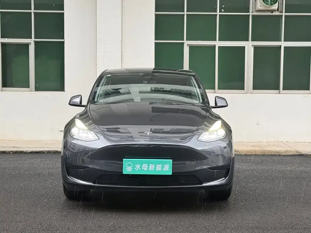 Tesla Model Y — фото 6