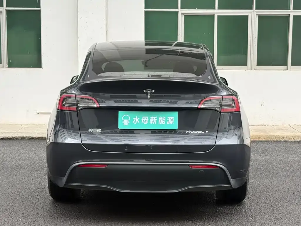 Tesla Model Y — фото 10