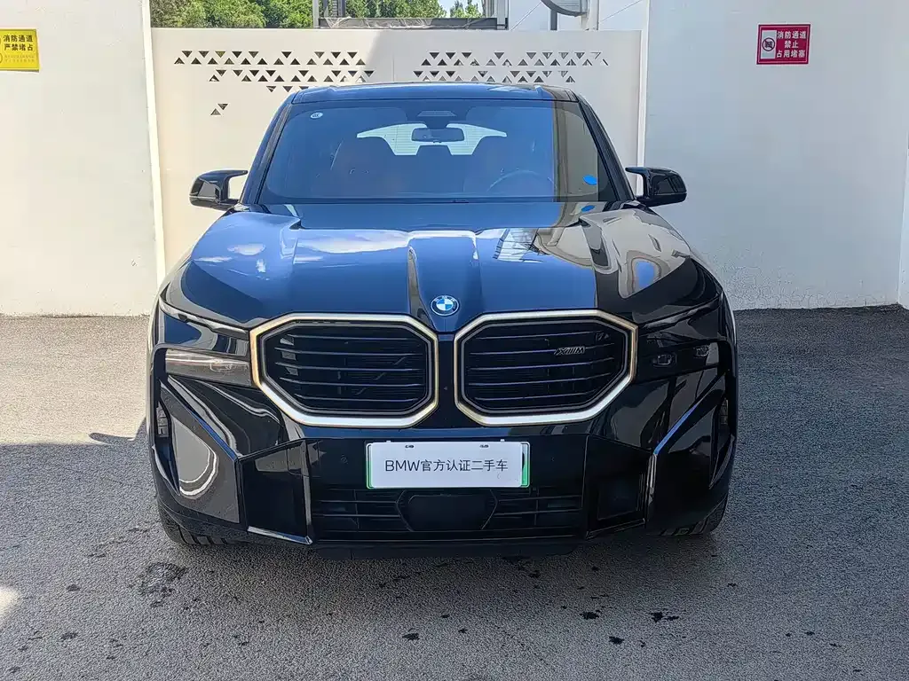 BMW XM — фото 9
