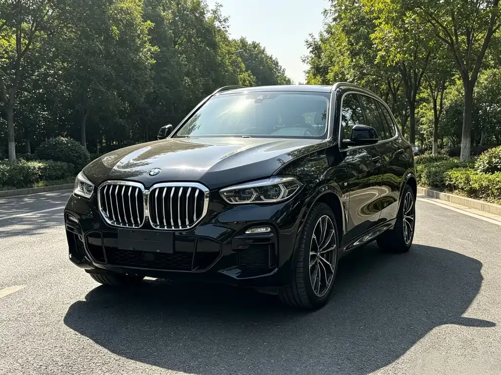 BMW X5 (Import) — фото 1