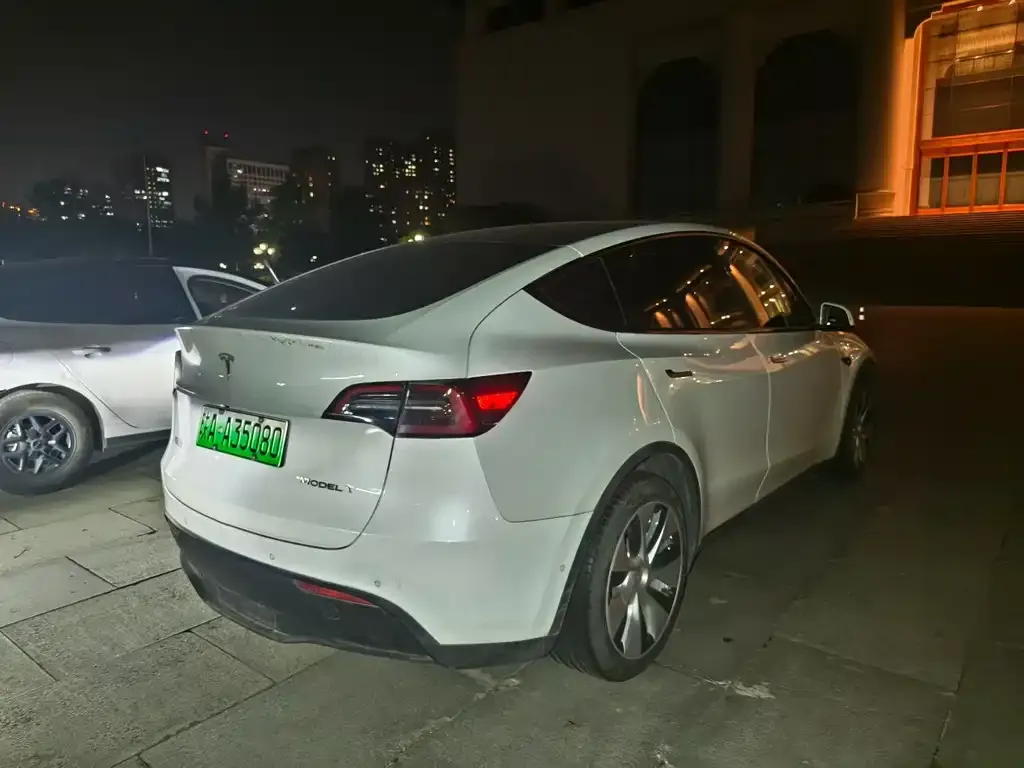 Tesla Model Y — фото 3