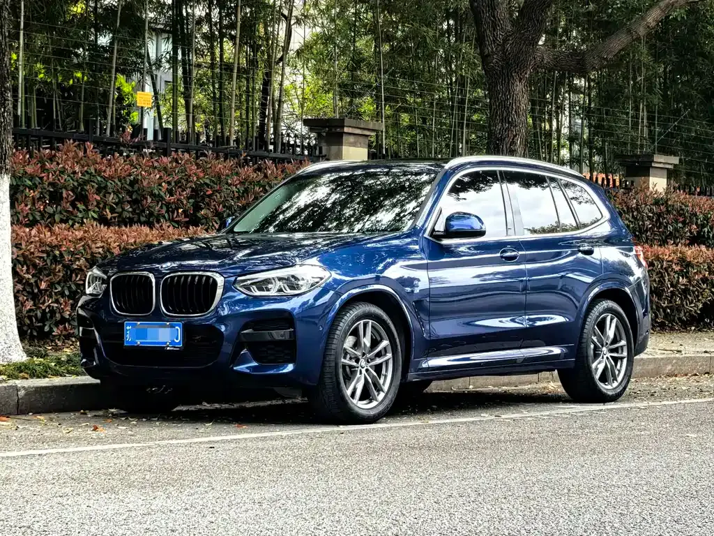 BMW X3 — фото 1
