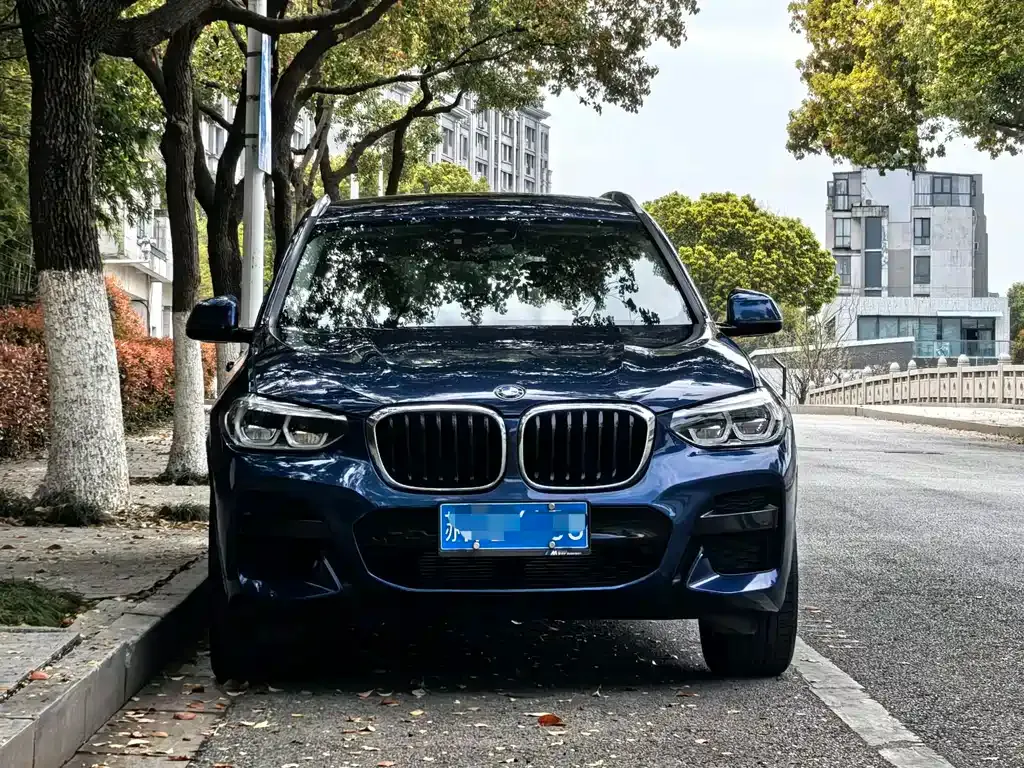 BMW X3 — фото 10