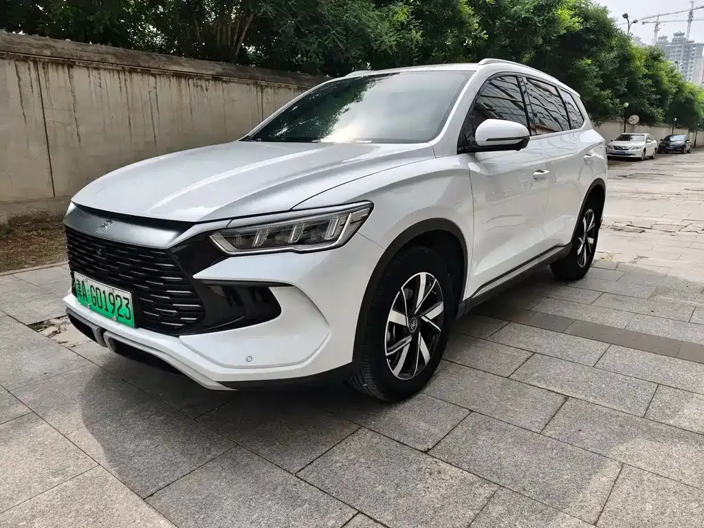 BYD Pro New Energy