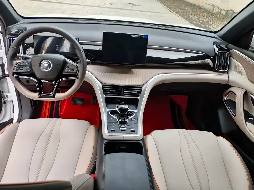 BYD Pro New Energy 2024 из CN, фото 6