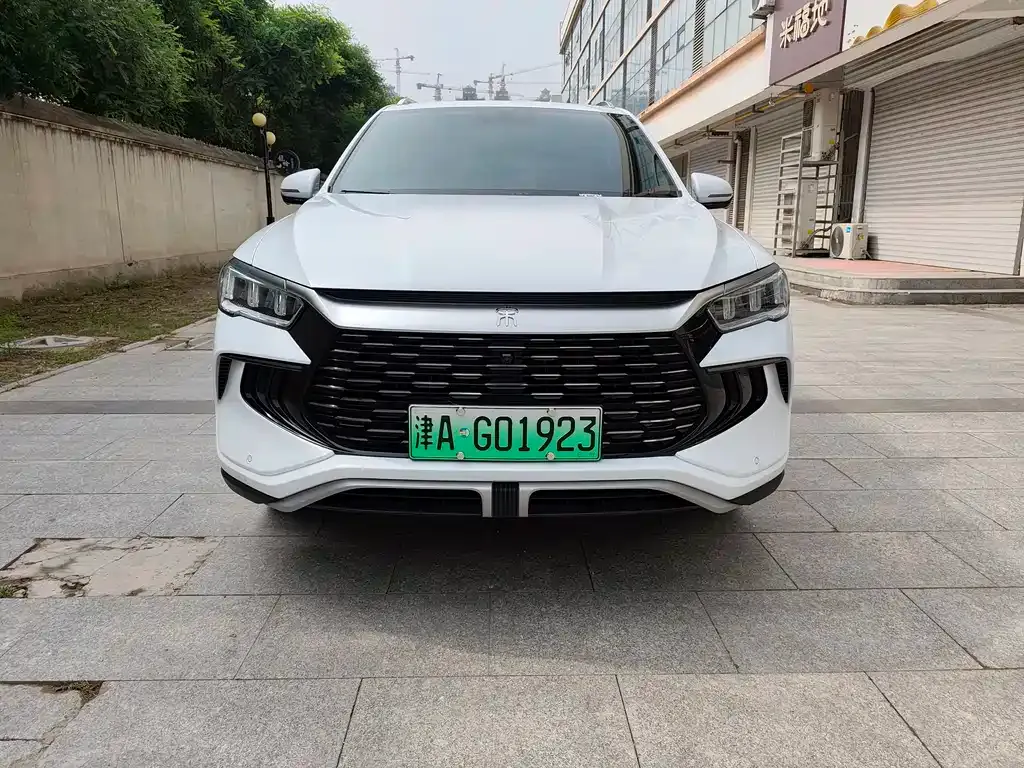 BYD Pro New Energy 2024 из CN, фото 7