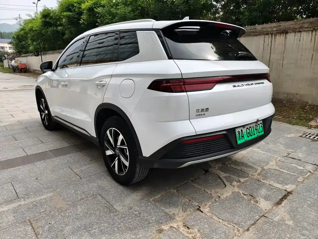 BYD Pro New Energy 2024 из CN, фото 5