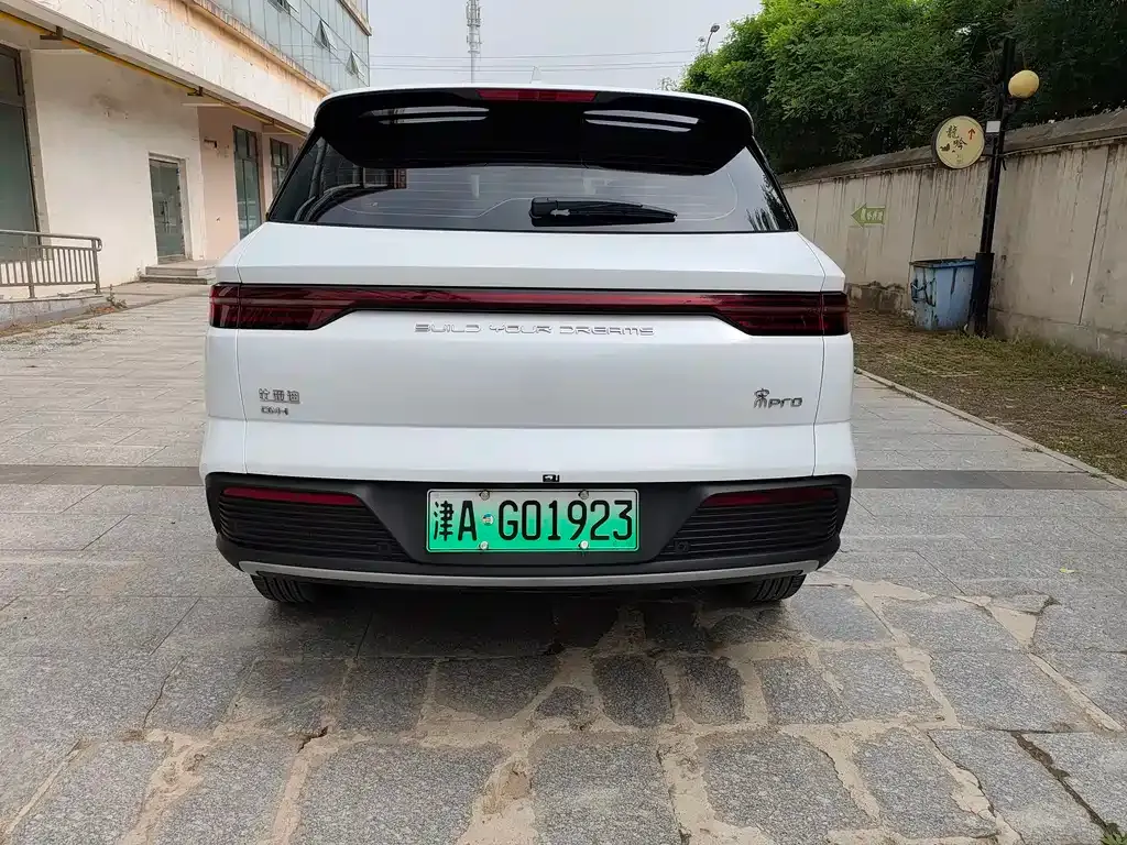 BYD Pro New Energy 2024 из CN, фото 10