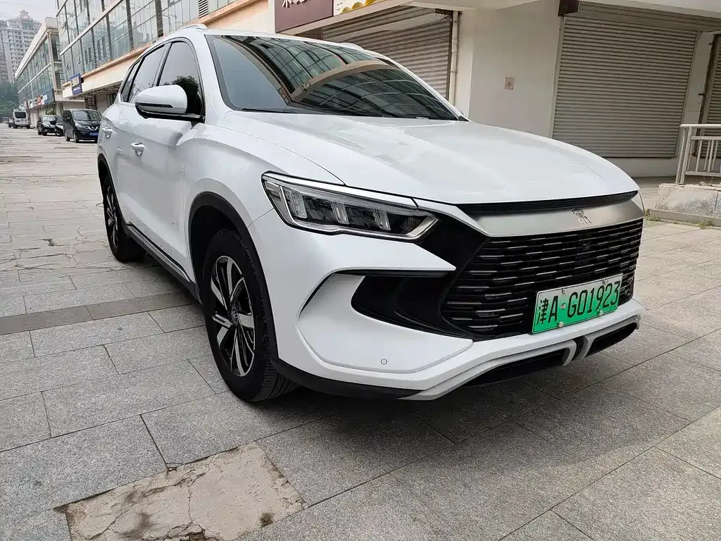 BYD Pro New Energy 2024 из CN, фото 4
