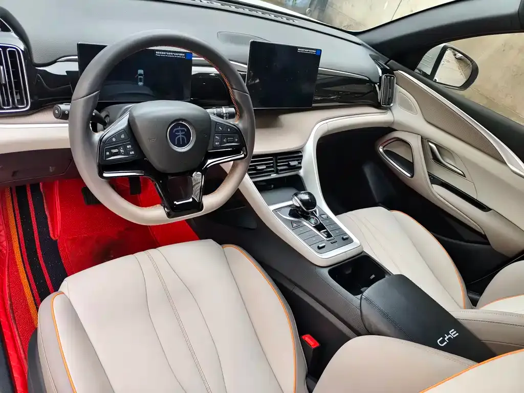 BYD Pro New Energy 2024 из CN, фото 8