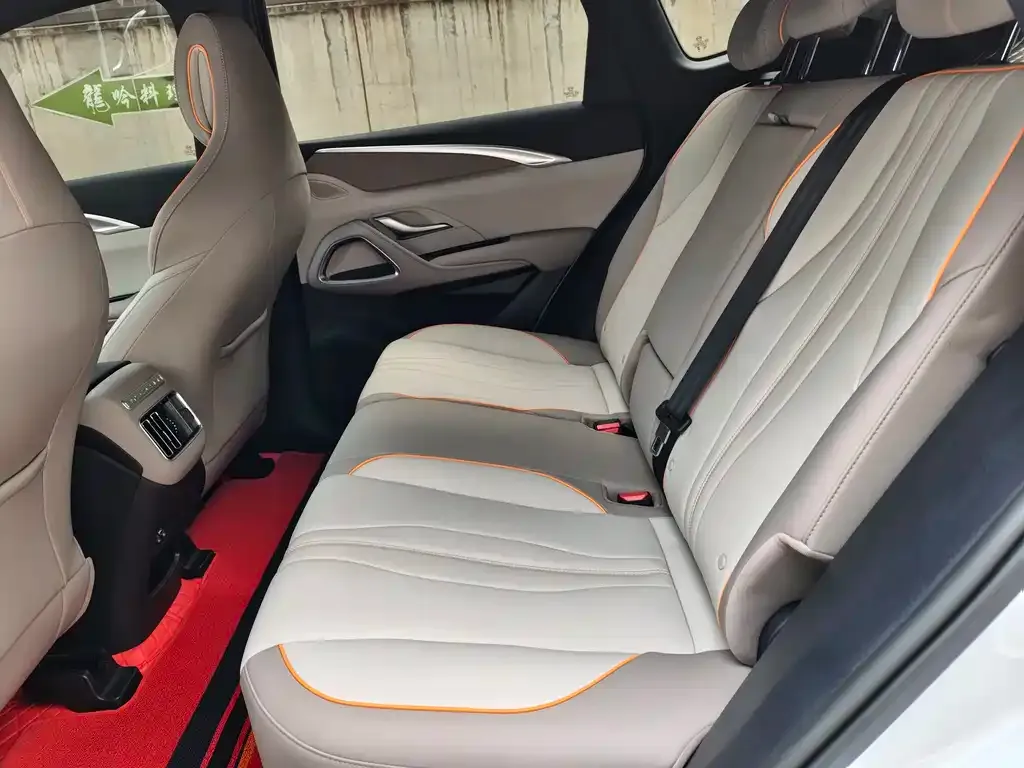 BYD Pro New Energy 2024 из CN, фото 9