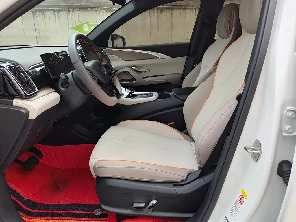 BYD Pro New Energy 2024 из CN, фото 3
