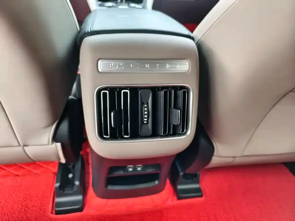 BYD Pro New Energy 2024 из CN, фото 2