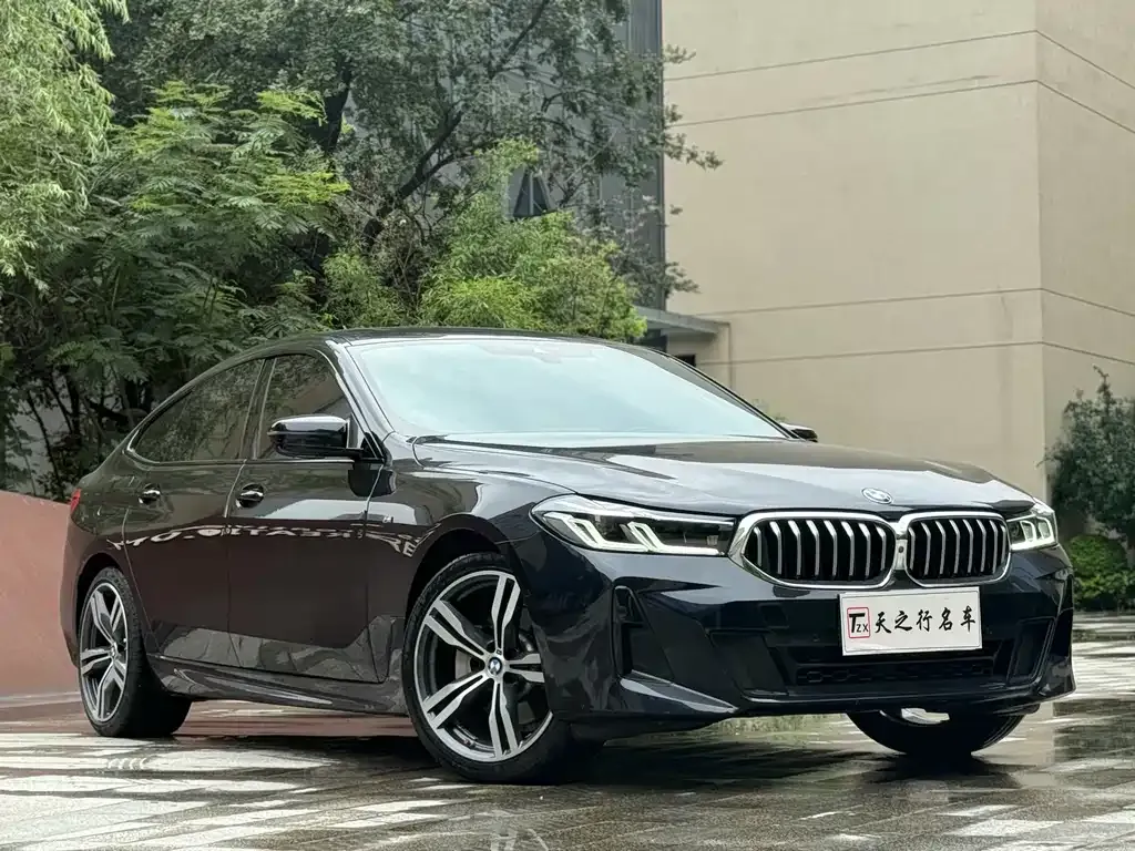 BMW 6 Series GT — фото 9