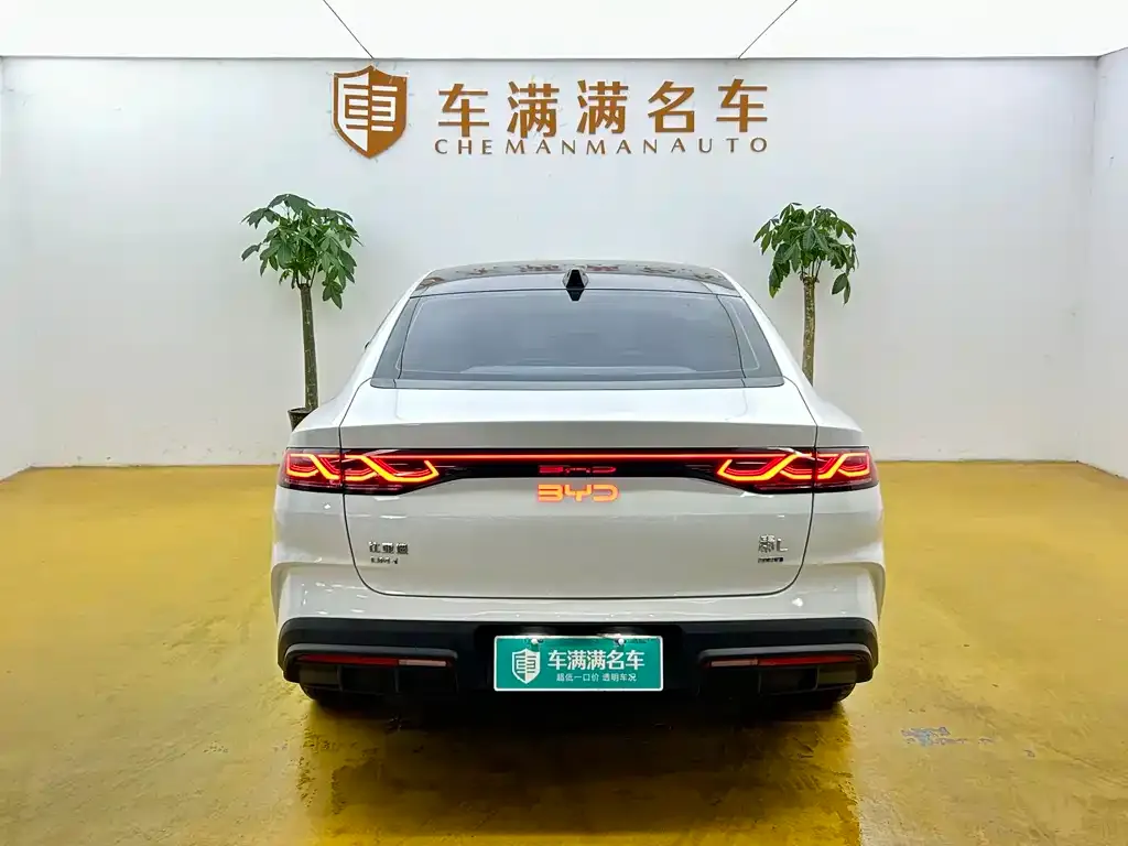 BYD Qin L — фото 3