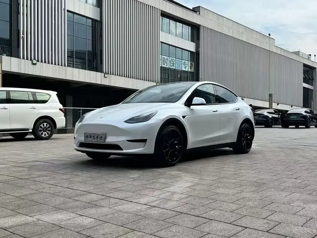 Tesla Model Y — фото 1