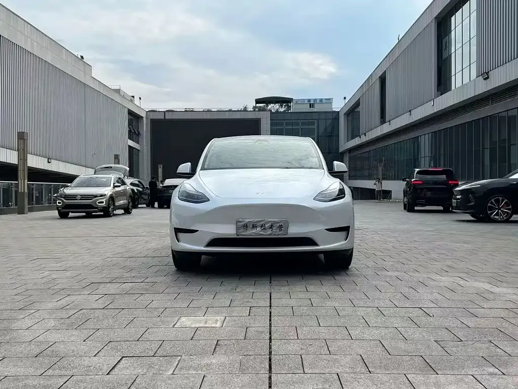 Tesla Model Y — фото 9