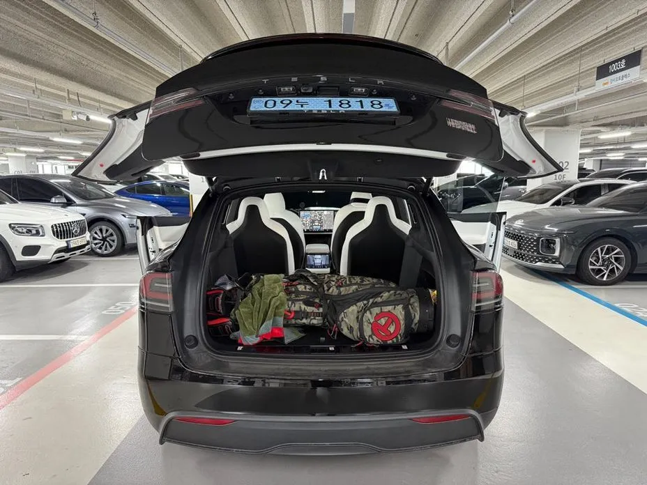 Tesla Model X — фото 10