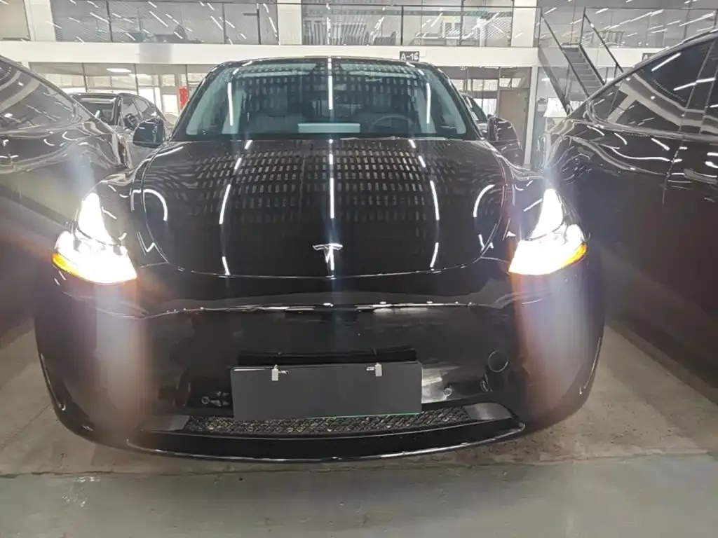 Tesla Model Y — фото 3
