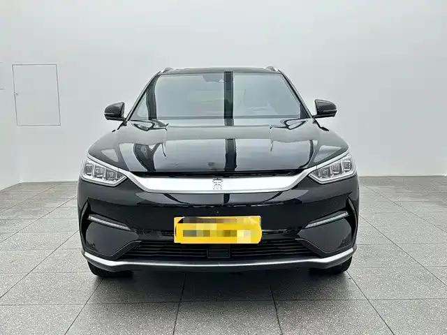 BYD PLUS New Energy — фото 2
