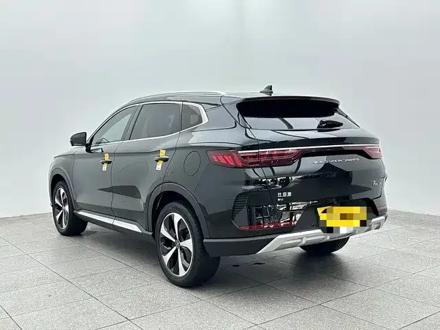 BYD PLUS New Energy — фото 3