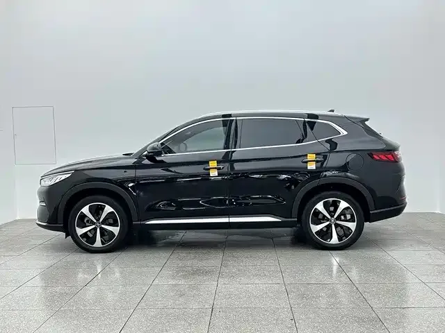 BYD PLUS New Energy — фото 8
