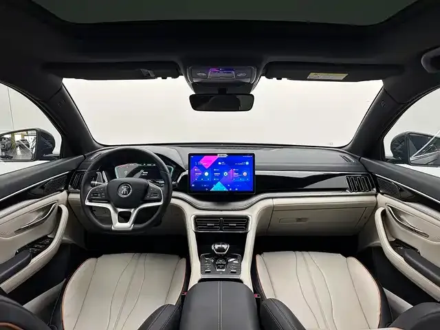 BYD PLUS New Energy — фото 10