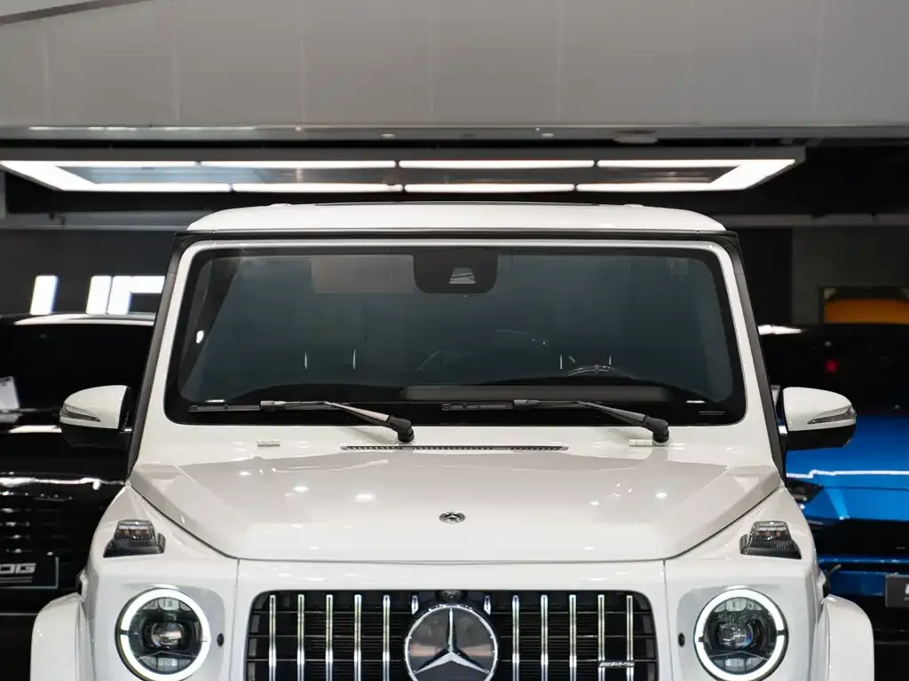 Mercedes-Benz G-Class — фото 6