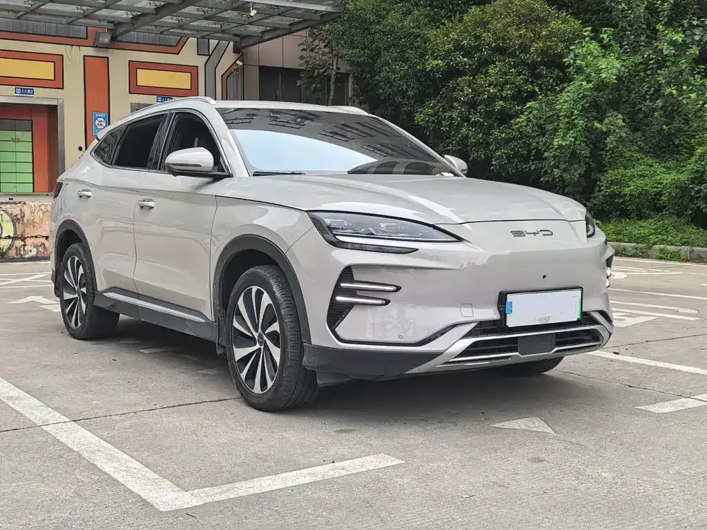 BYD PLUS New Energy — фото 10