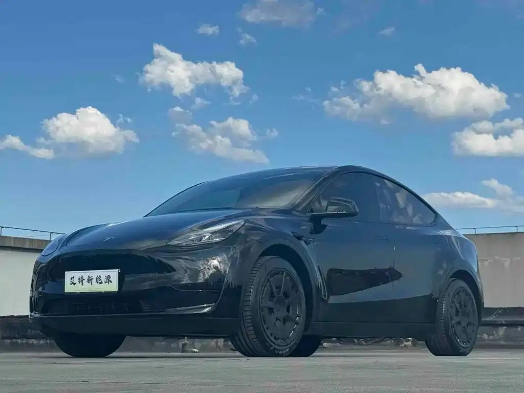 Tesla Model Y — фото 1