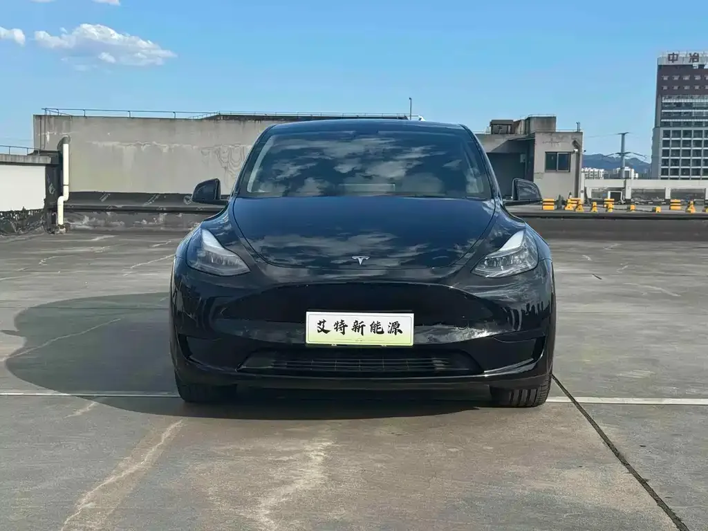 Tesla Model Y — фото 3