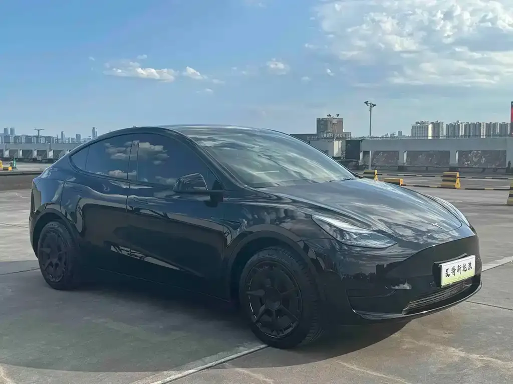 Tesla Model Y — фото 2