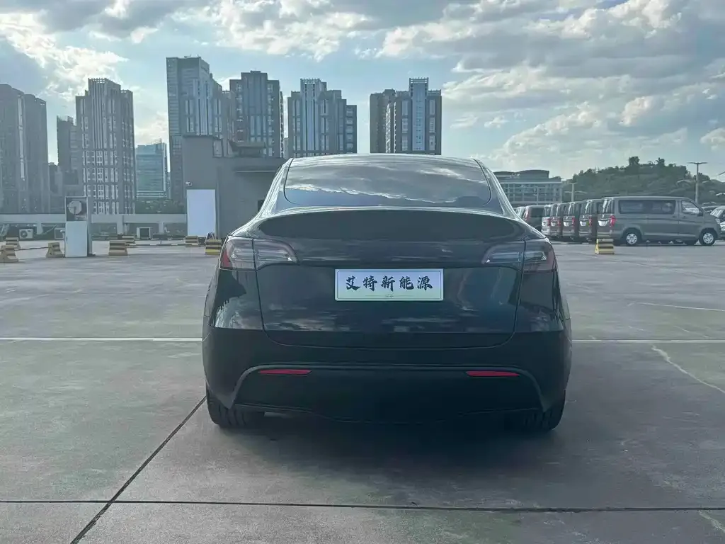 Tesla Model Y — фото 10