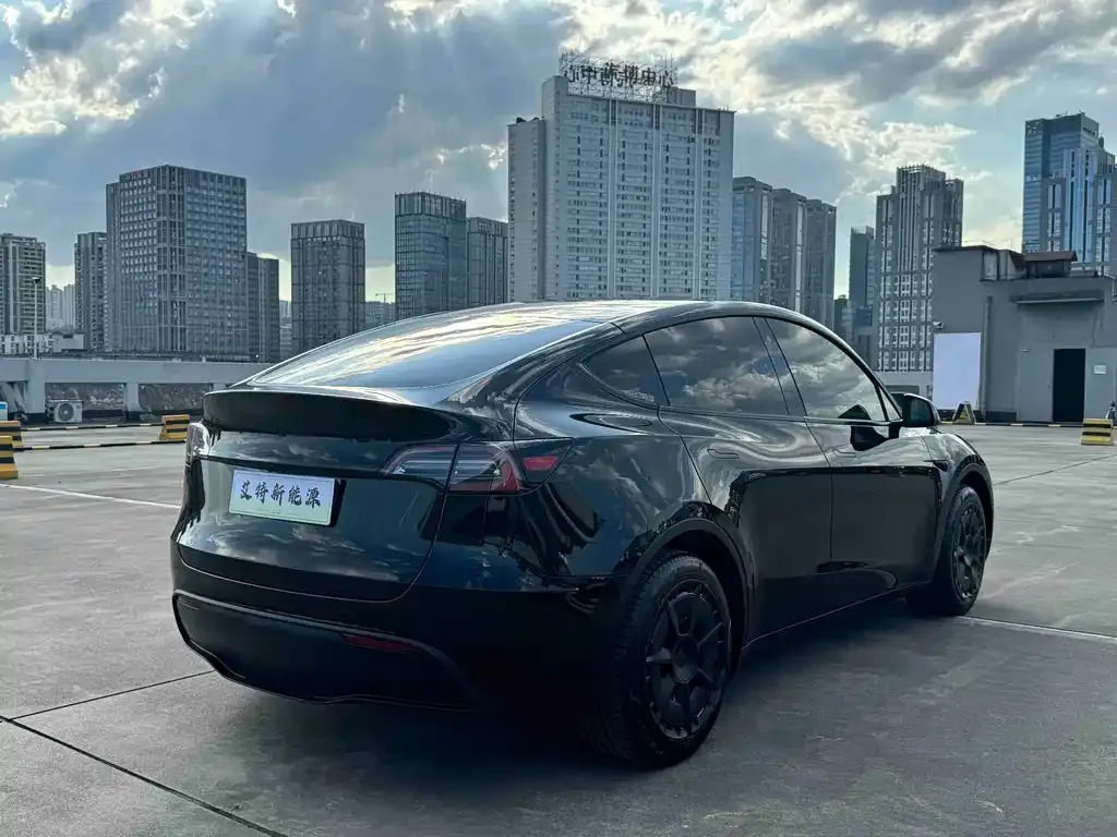 Tesla Model Y — фото 8