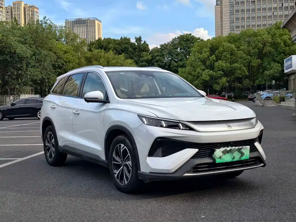 BYD Pro New Energy — фото 10