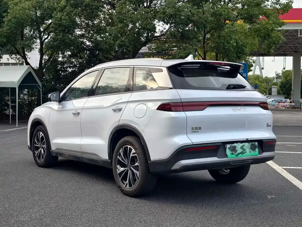 BYD Pro New Energy — фото 9