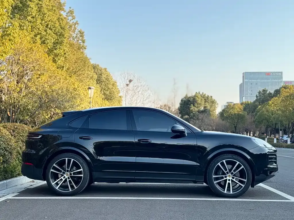 Porsche Cayenne — фото 6