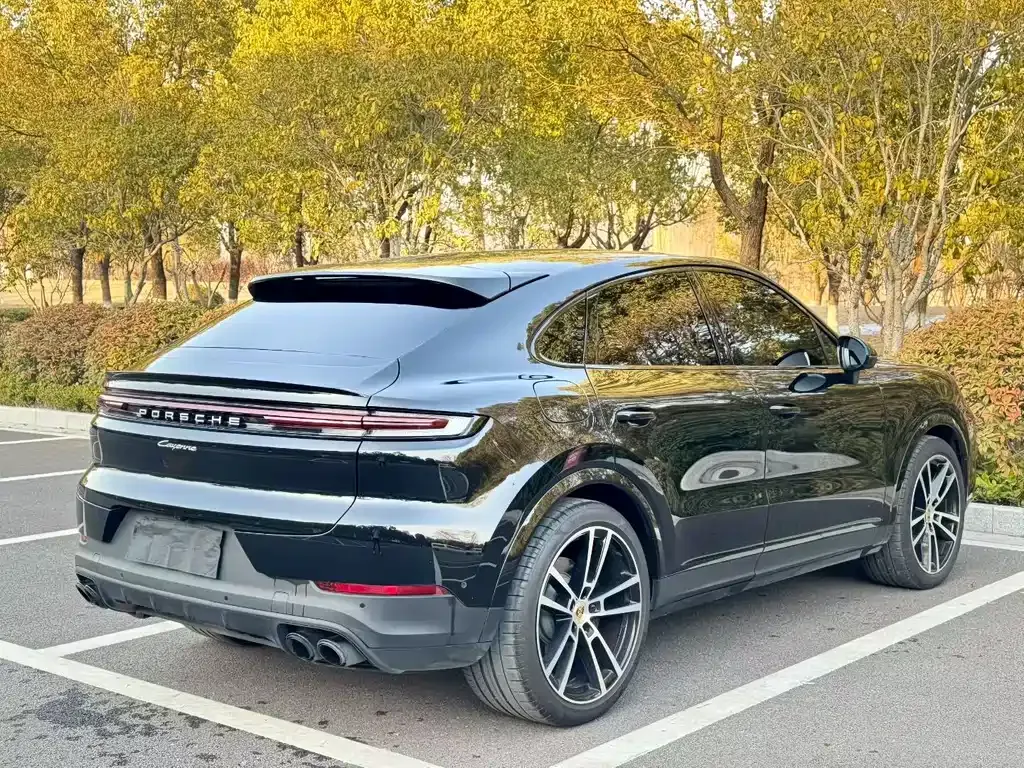 Porsche Cayenne — фото 10